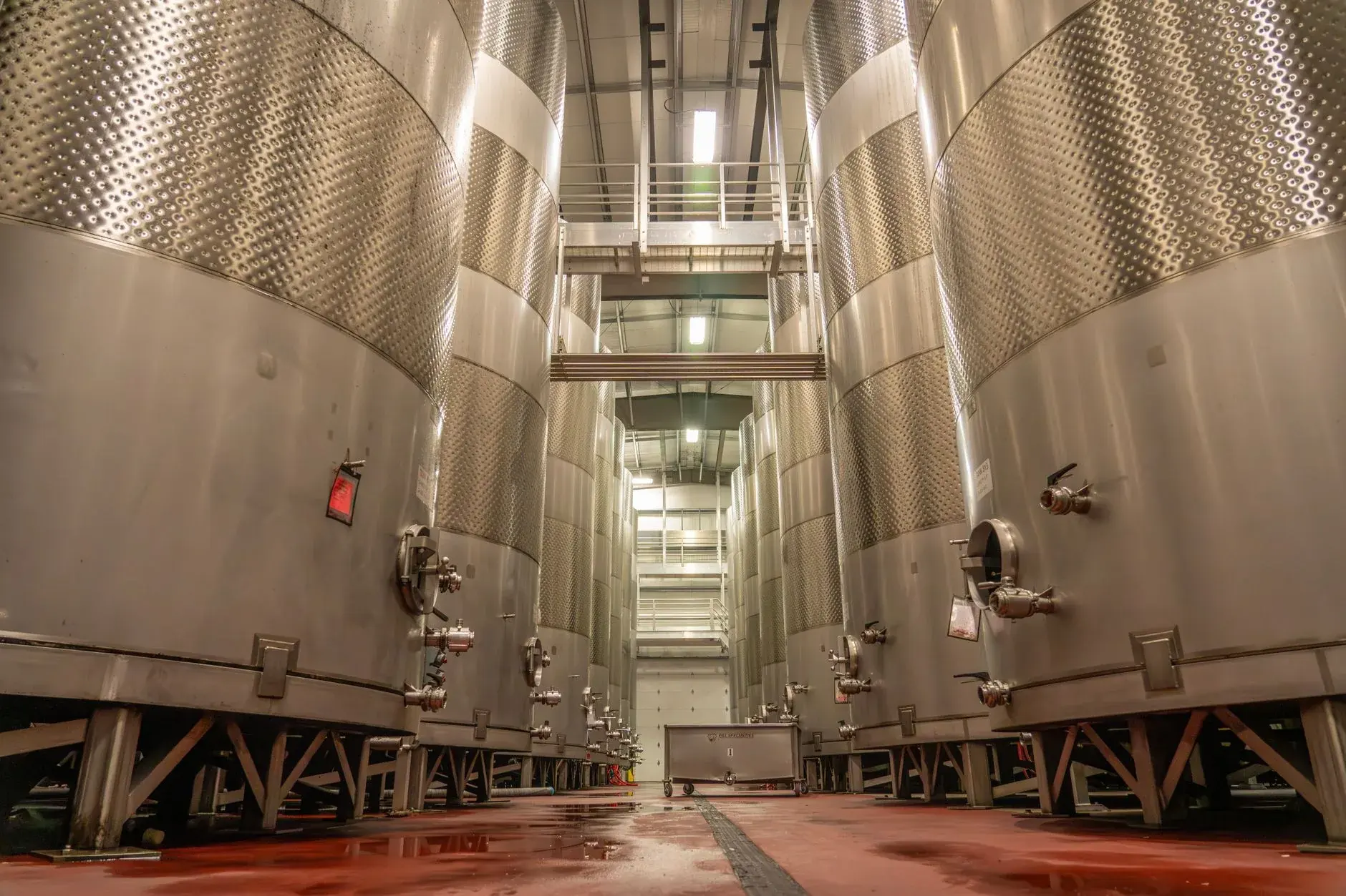 Stainless-steel fermentation tanks in an industrial brewery.